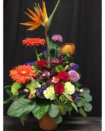 Tropical wit pin cushion Flower Arrangement
