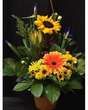 Radiance Flower Arrangement