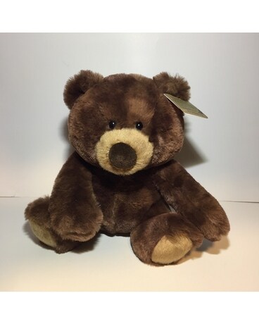 Bears - Coco Swirl Gifts