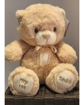 My 1st Teddy Gifts