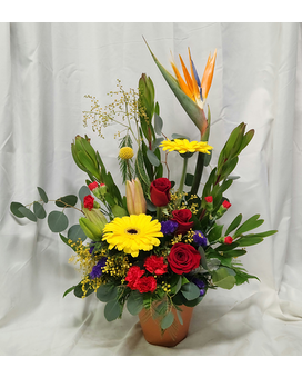 Tropical with red roses Flower Arrangement