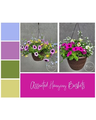 Assorted Hanging Baskets Flower Arrangement