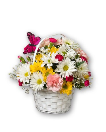 Fly Away Butterfly Basket Flower Arrangement