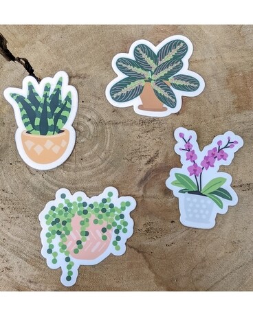 Plant Sticker Pack Gifts