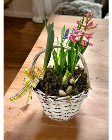 Easter Bulb Garden Basket Plant