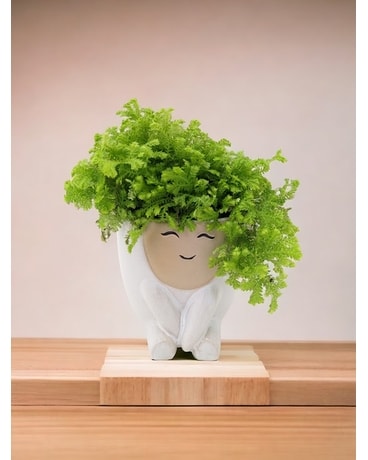 The Little Buddy-- Potter's Choice Plant
