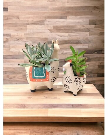 Barnyard Buddies-Goat-Potter's Choice Plant