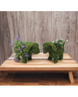 Dog Mom's Planters Plant