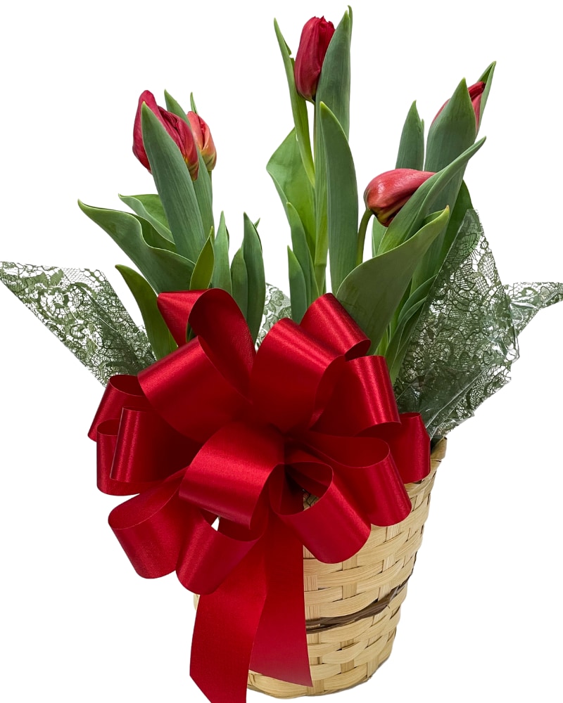 Valentine's Day Delivery Oklahoma City OK Capitol Hill Florist, Gifts