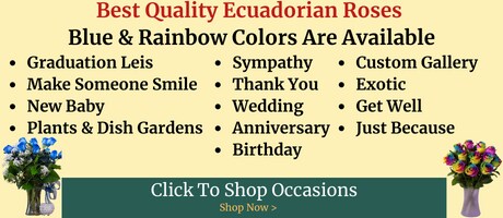 Modesto Exotic Flowers, Inc.