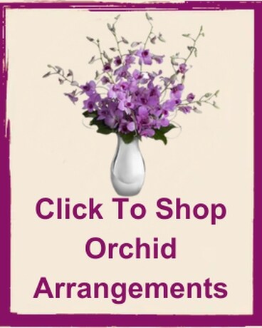 Click to Shop Orchid Arrangements Flower Arrangement