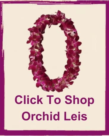 Click to Shop Orchid Leis Flower Arrangement