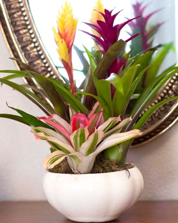 Custom #15 Flower Arrangement