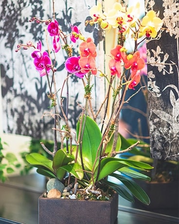 Custom Made #281 Flower Arrangement