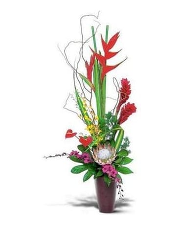 Exotic Arrangement #15 Flower Arrangement