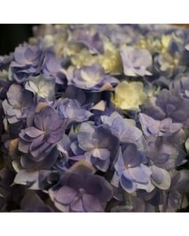 Custom Flower Arrangement