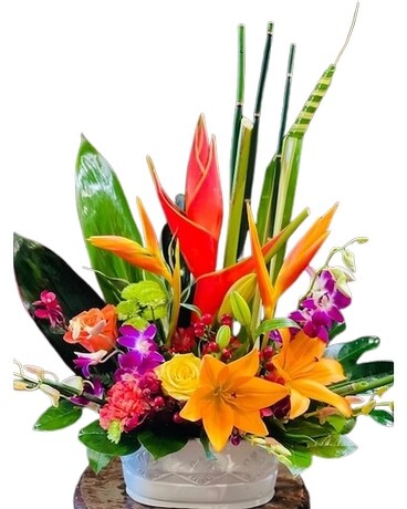 CM #559 in Modesto CA - Modesto Exotic Flowers, Inc.