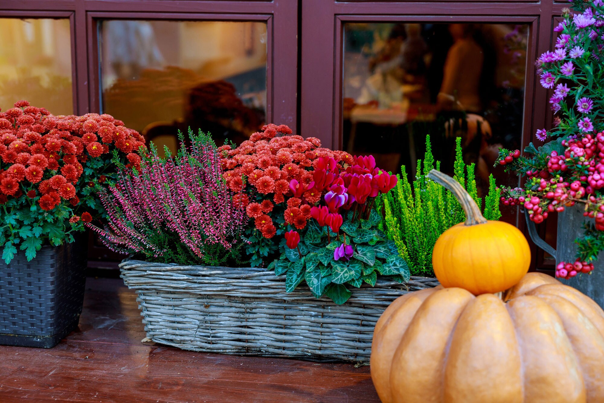 FLOWERS OF KINGWOOD TEXAS, SHOP OUR FALL COLLECTION >>