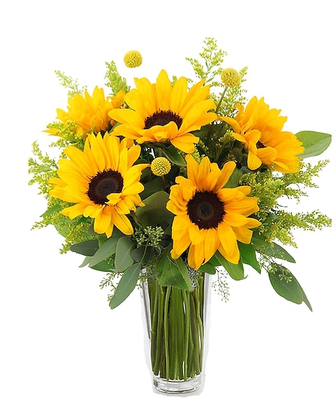 Porter Texas Sunflowers Flower Arrangement