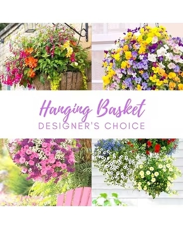 Outdoor Hanging Basket Plant