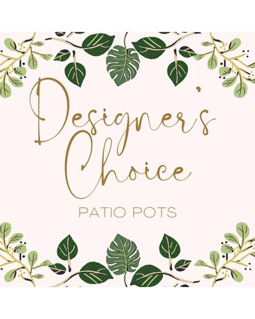 Designer's Choice Patio Pots Plant
