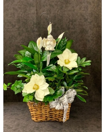 Sympathy Plants Delivery Fort Worth TX - Greenwood Florist \u0026 Gifts