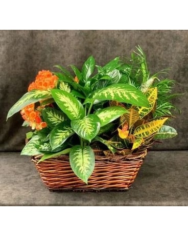 Basket of Joy Flower Arrangement