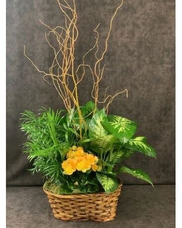 Sunshine and Petals Flower Arrangement