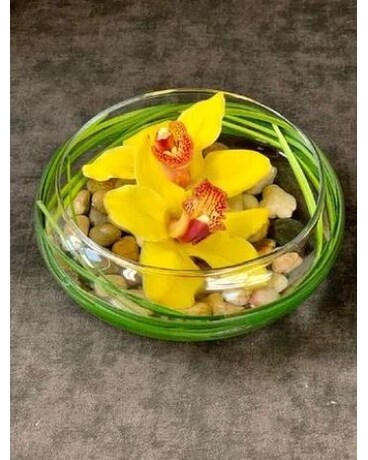 As Shown size, 14 inches height and 8 inches wide.