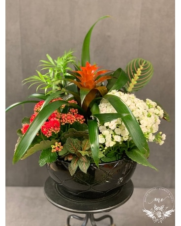 European Ceramic Garden Dish Garden Plant