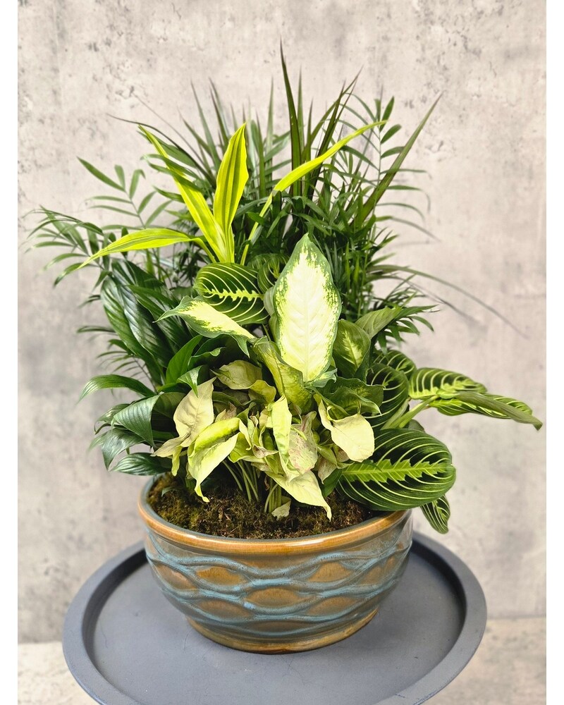 12IN CERAMIC GARDEN MIX PLANTS in Fort Worth TX - Mount Olivet