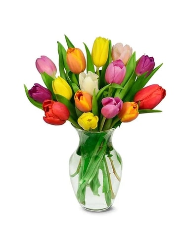 Rainbow Tulip Bouquet Flower Arrangement