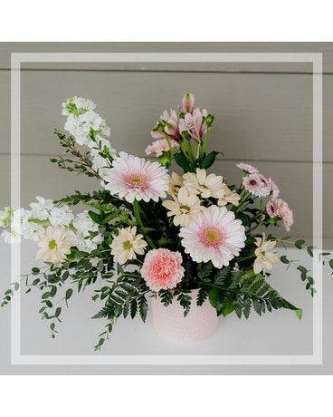 Bianca Arrangment Flower Arrangement