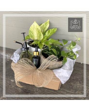 Plant Loves Box Gift Basket