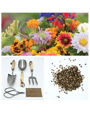 Wild Flower Tool Kit Gifts