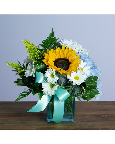 Daisy Baby Flower Arrangement