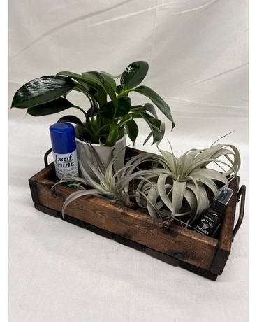 Plant Love Gift Basket