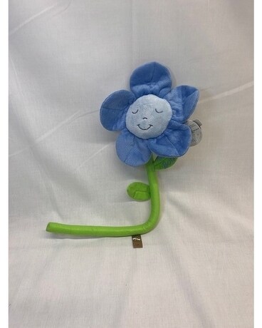 Baby Boy Plush Daisy Flower Arrangement