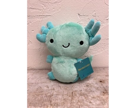 Hermelindo, Axolotl Flower Arrangement