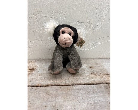 Wild Onez Marmoset Flower Arrangement