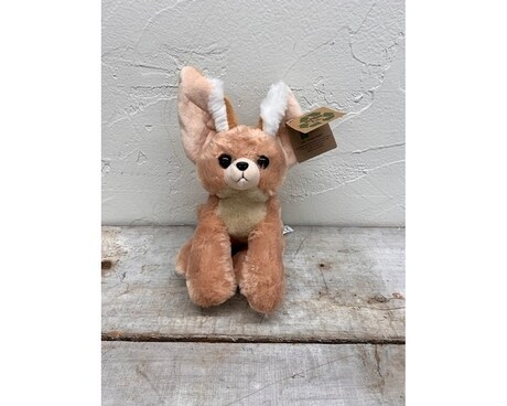 Wild Onez Fennec Fox Gifts