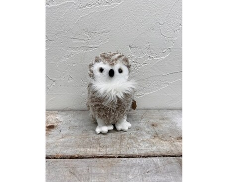 Wild Onez Snowy Owl Flower Arrangement