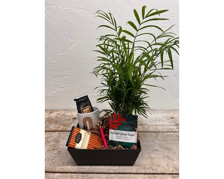 Teacher Bundle Flower Arrangement