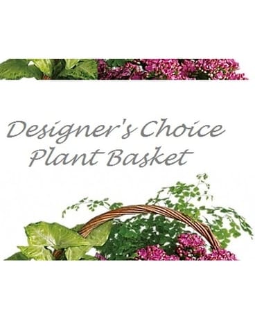 Designer's Choice - Planter Basket Flower Arrangement