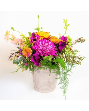 Wild And Free - Phone Order Only Flower Arrangement