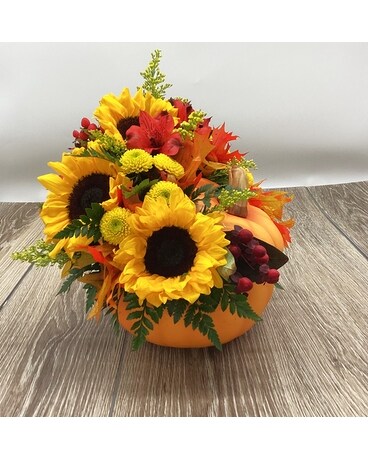 Burst of Pumpkin  (Designer's Choice) Flower Arrangement