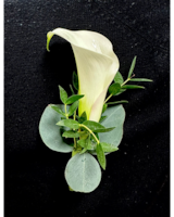 Calla Lily in Clearwater FL - Hassell Florist