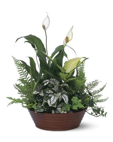 White Garden Flower Arrangement