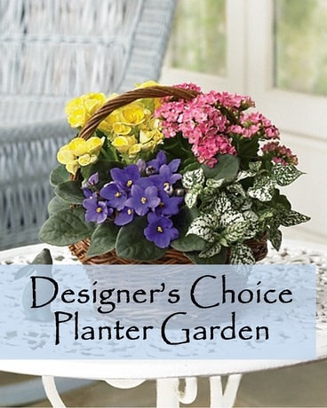 Designer’s Choice Planter Garden. Flower Arrangement