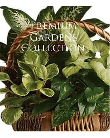 Custom Made Planters - Designer's Choice Flower Arrangement